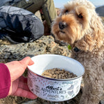 Paws Outdoors Travel Adventure Bowl