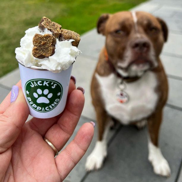 Pup Cups SydandCo