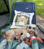Made for Adventure Personalised Dog Camping Cushion
