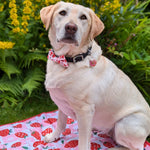 Berry Good Strawberry Bowtie