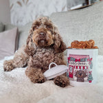 The Syd&Co Barkery Limited Editon Christmas Treat Tin