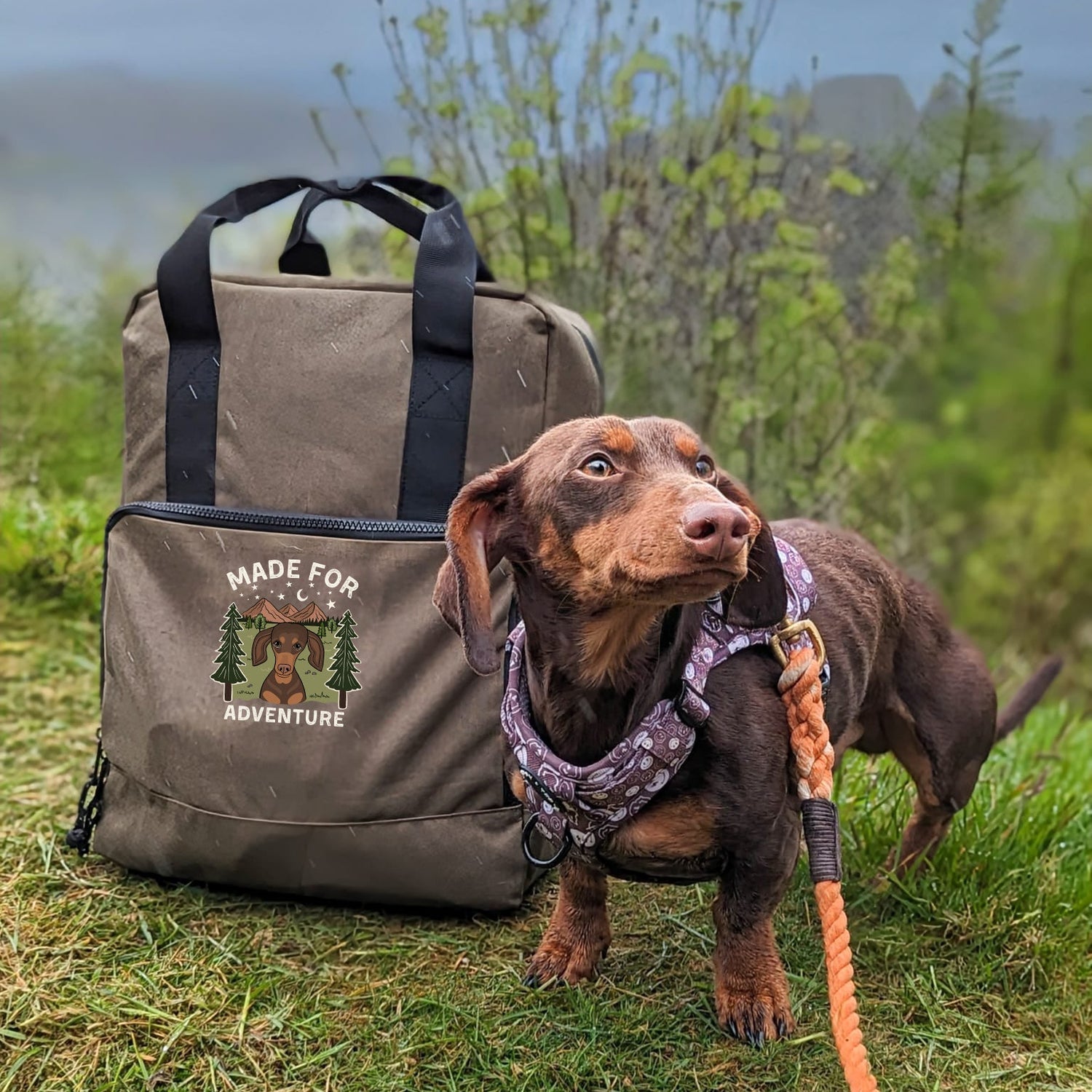 Made for Adventure Cooler Backpack