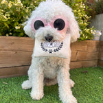 Personalised canvas Treat Bag