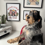 Dog sitting on a chair with framed artwork on the wall