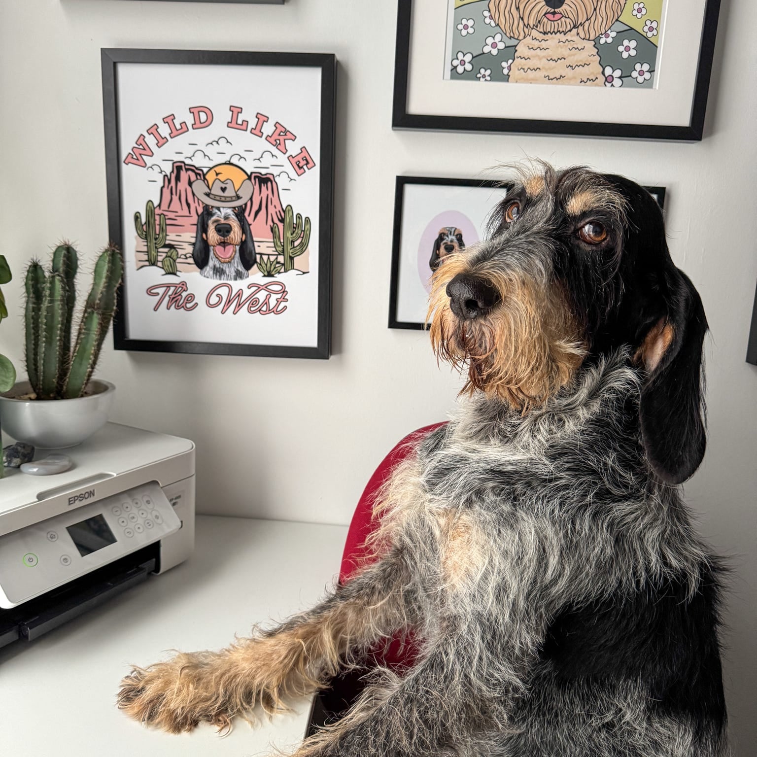 Dog sitting on a chair with framed artwork on the wall