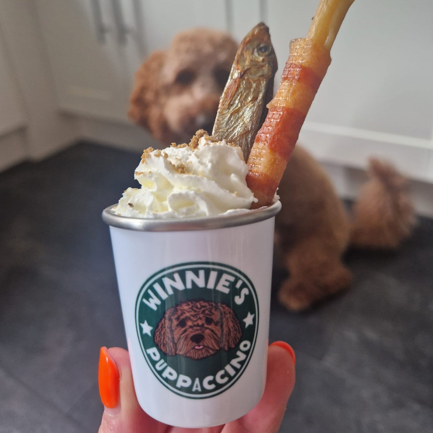 Personalised Mini Pup Cup – Syd&Co