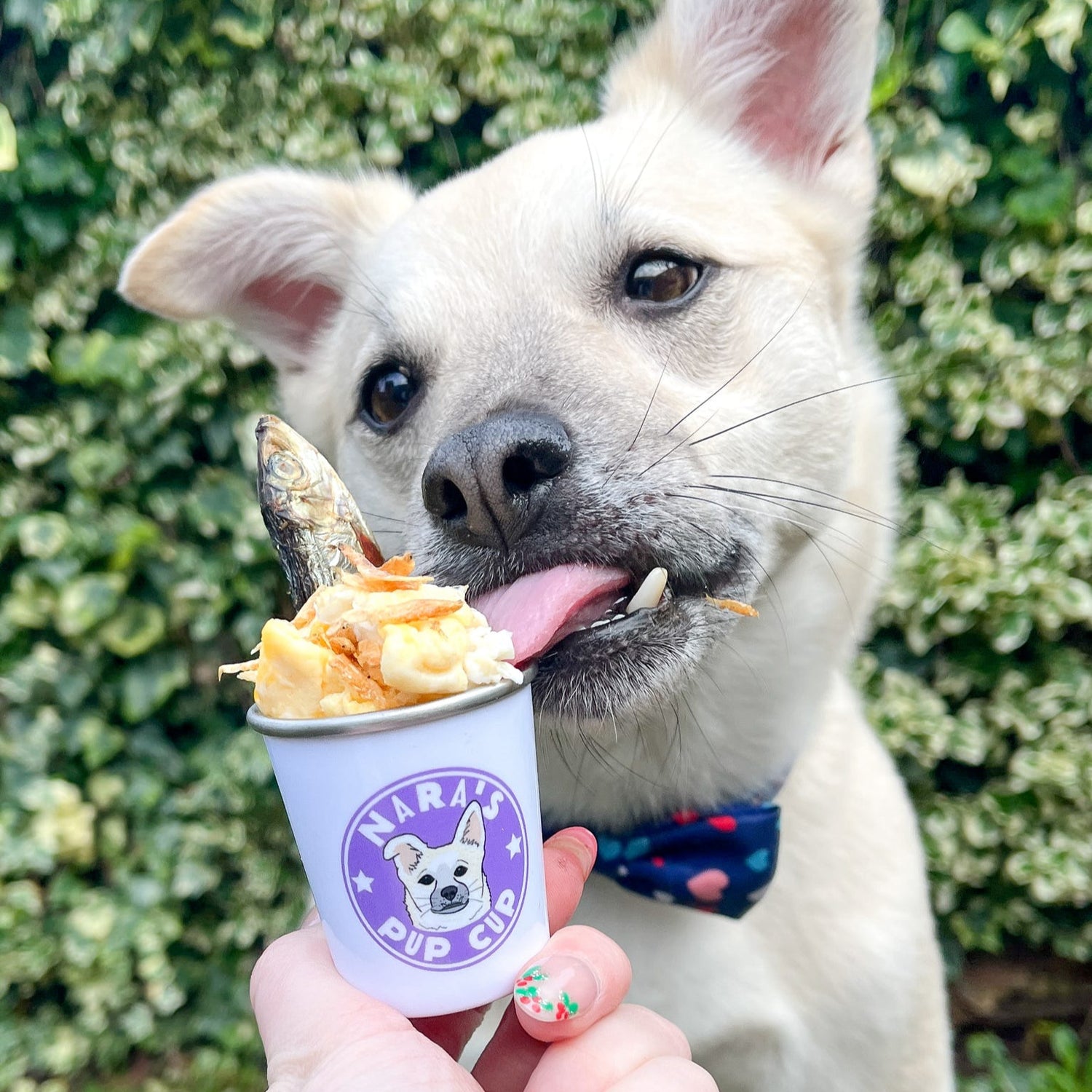 Personalised Mini Pup Cup