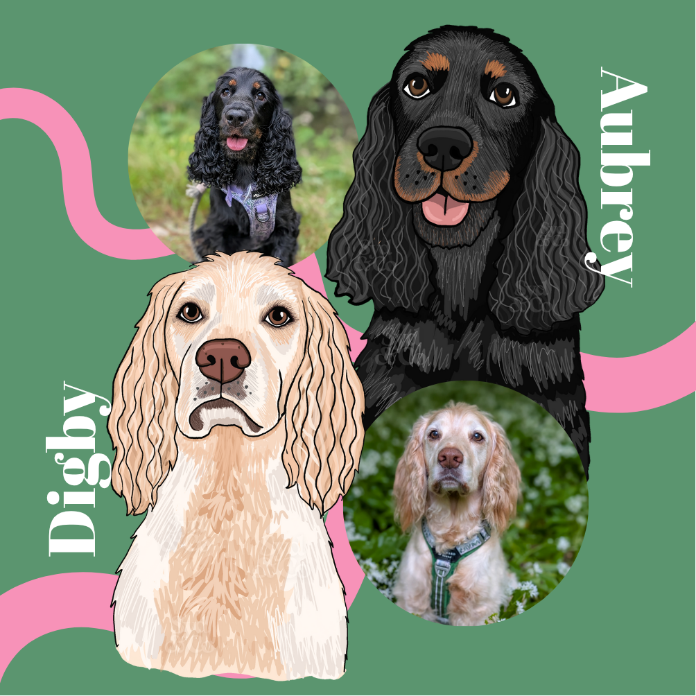 Detailed Bespoke Drawing and A4 Print