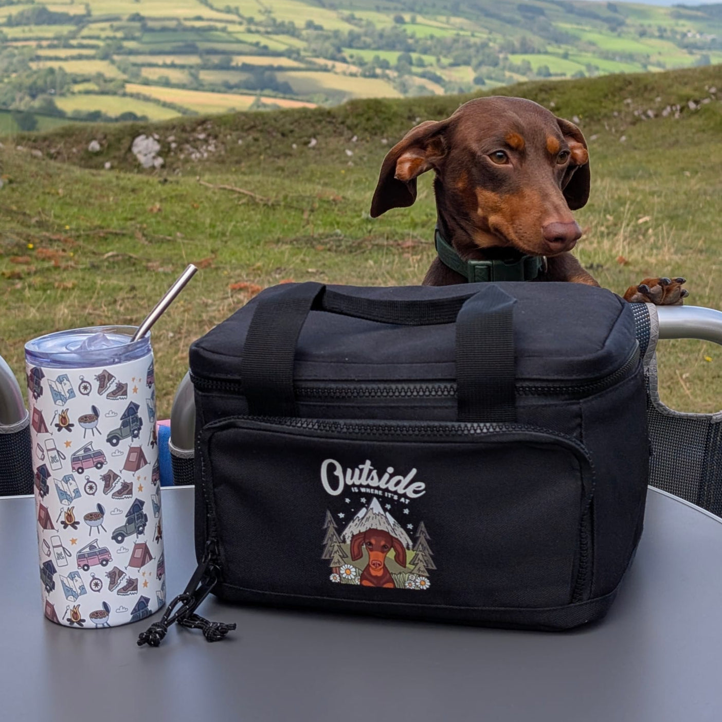 Outside is Where it's At Mini Cooler Bag