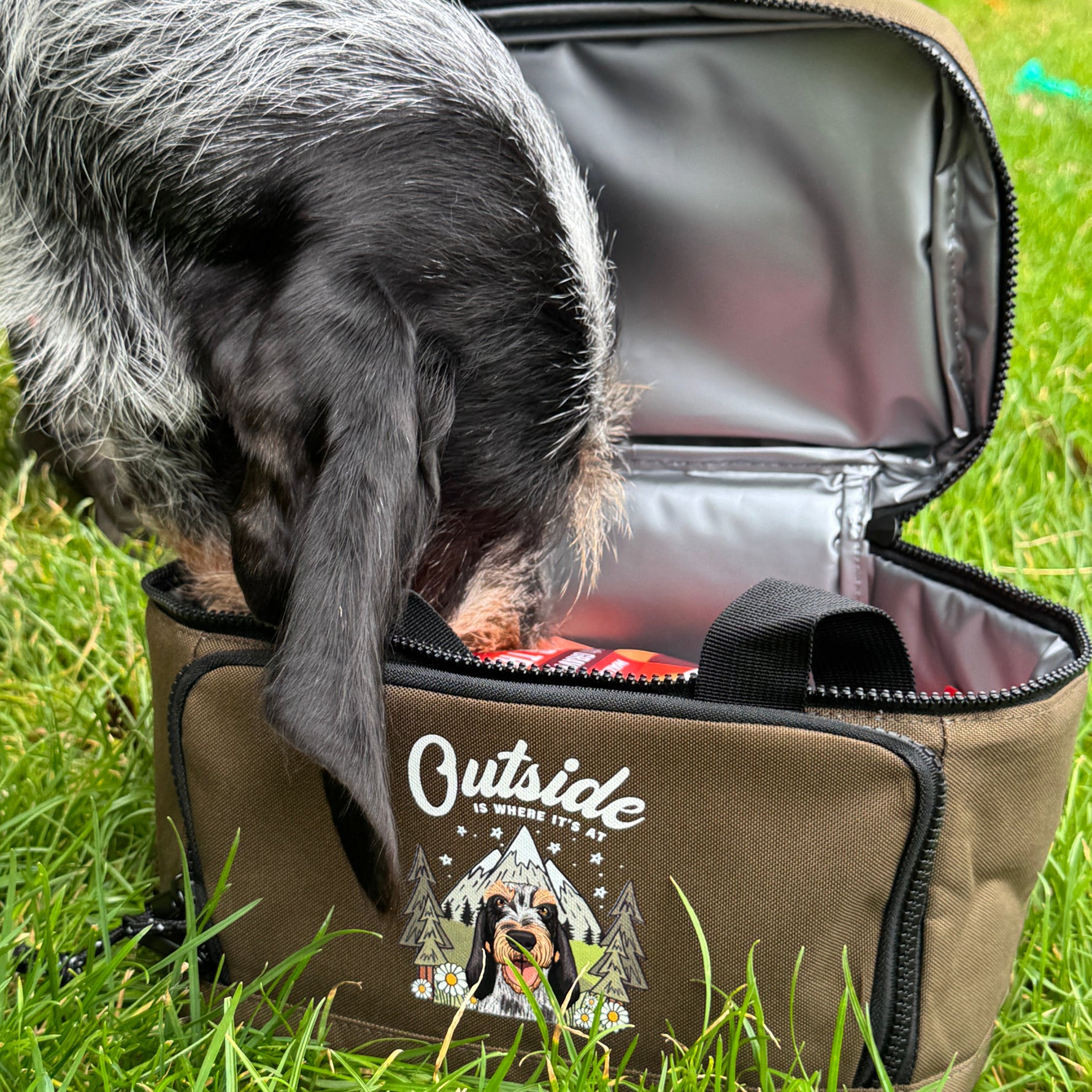Dog looking into an open bag with 'Outside' branding on a grassy background