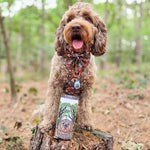 Dog sitting on a log in a forest with a product in front
