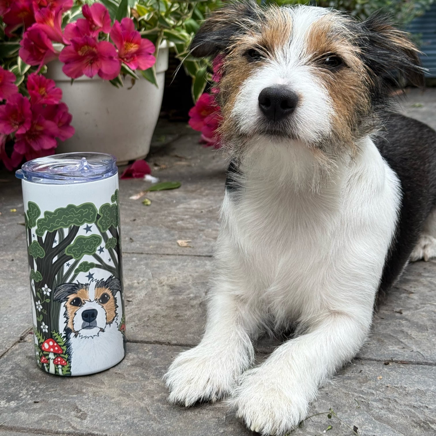Dog sitting on a wooden deck with a tumbler featuring a dog illustration in the foreground.