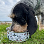 Dog drinking from a bowl with 'Pebble's Adventures' on it in a grassy area.