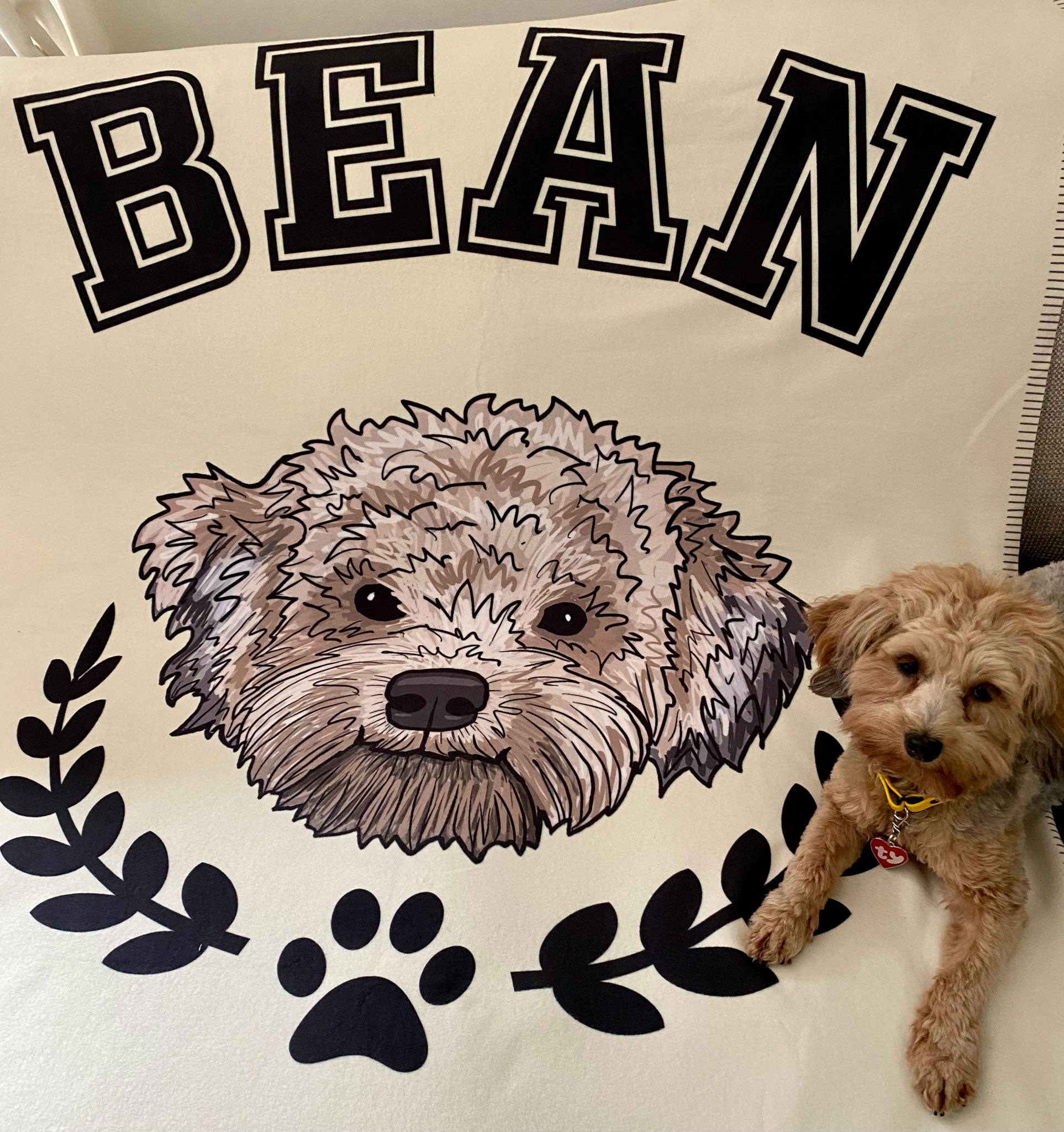 The Ulti-Mutt Pet Blanket