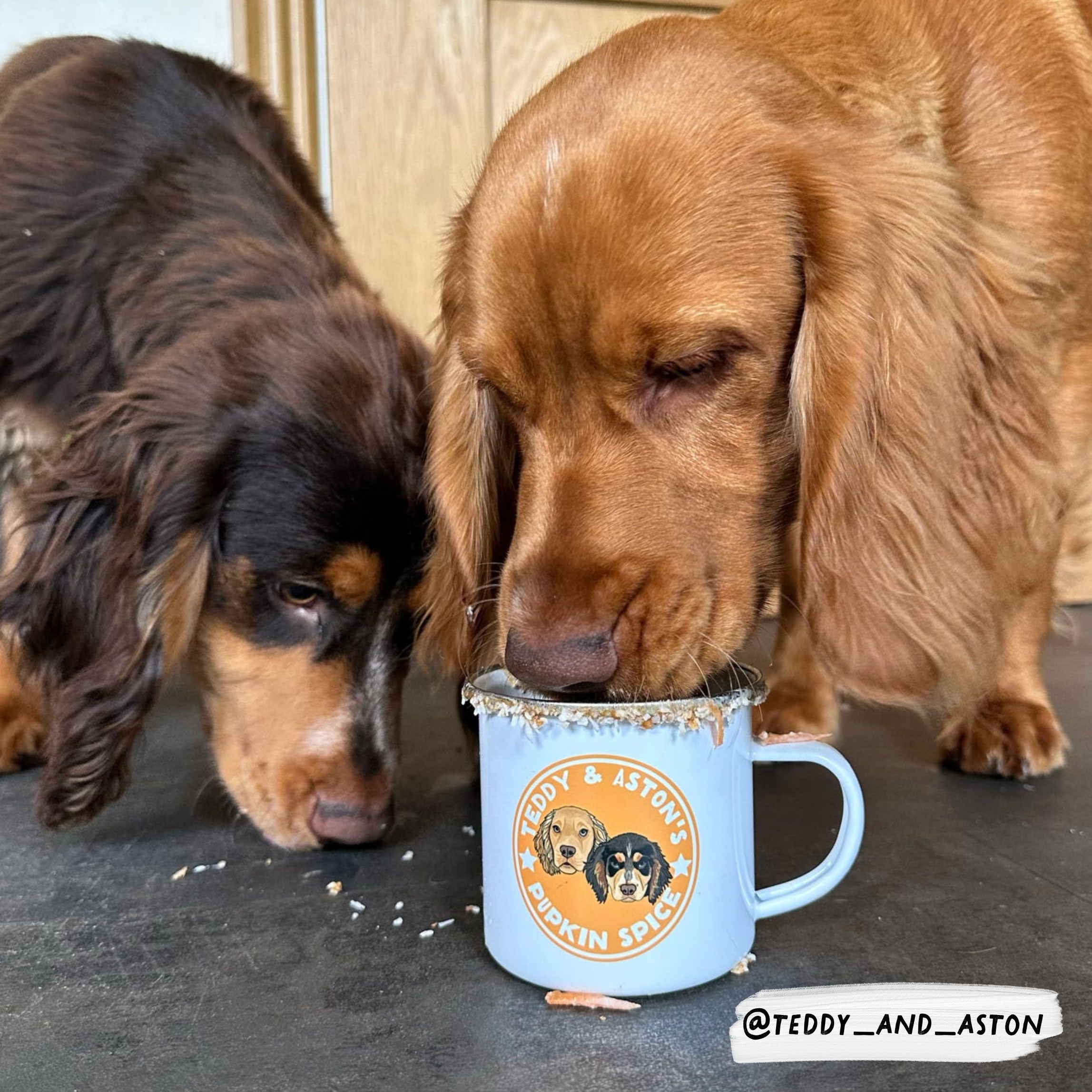 Personalised Pup Cup