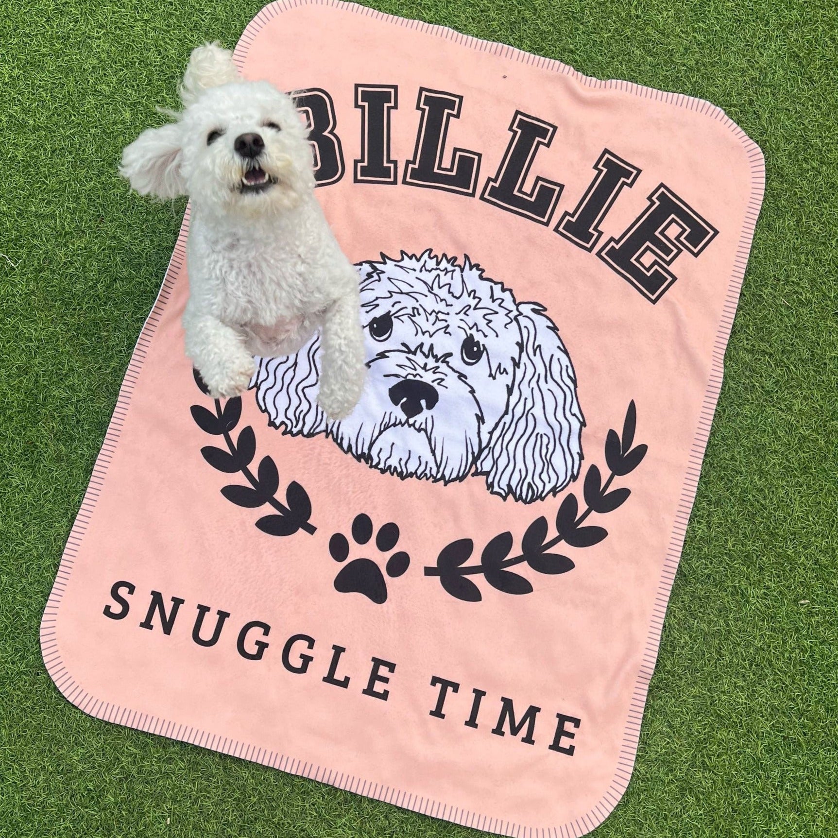 The Ulti-Mutt Pet Blanket