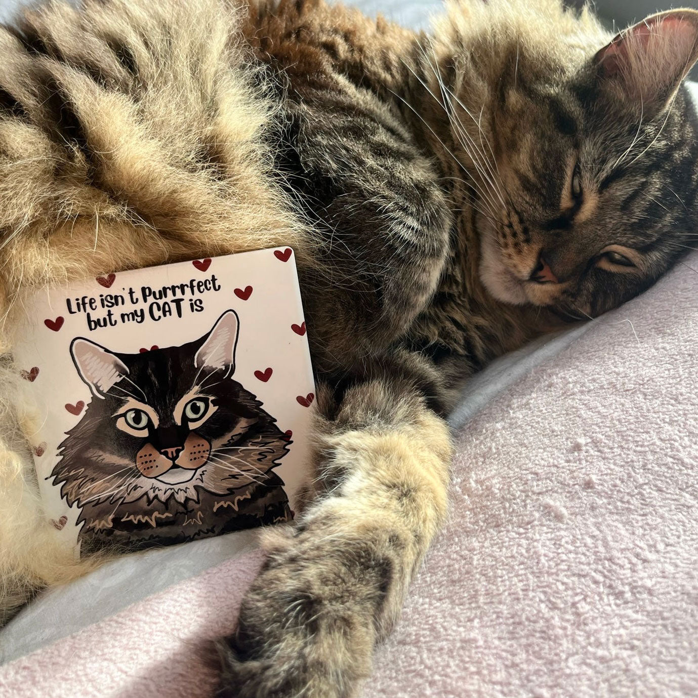Personalised Cat Dainty Hearts Coaster