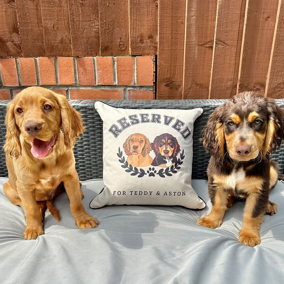 The Ulti-Mutt Personalised Dog Cushion