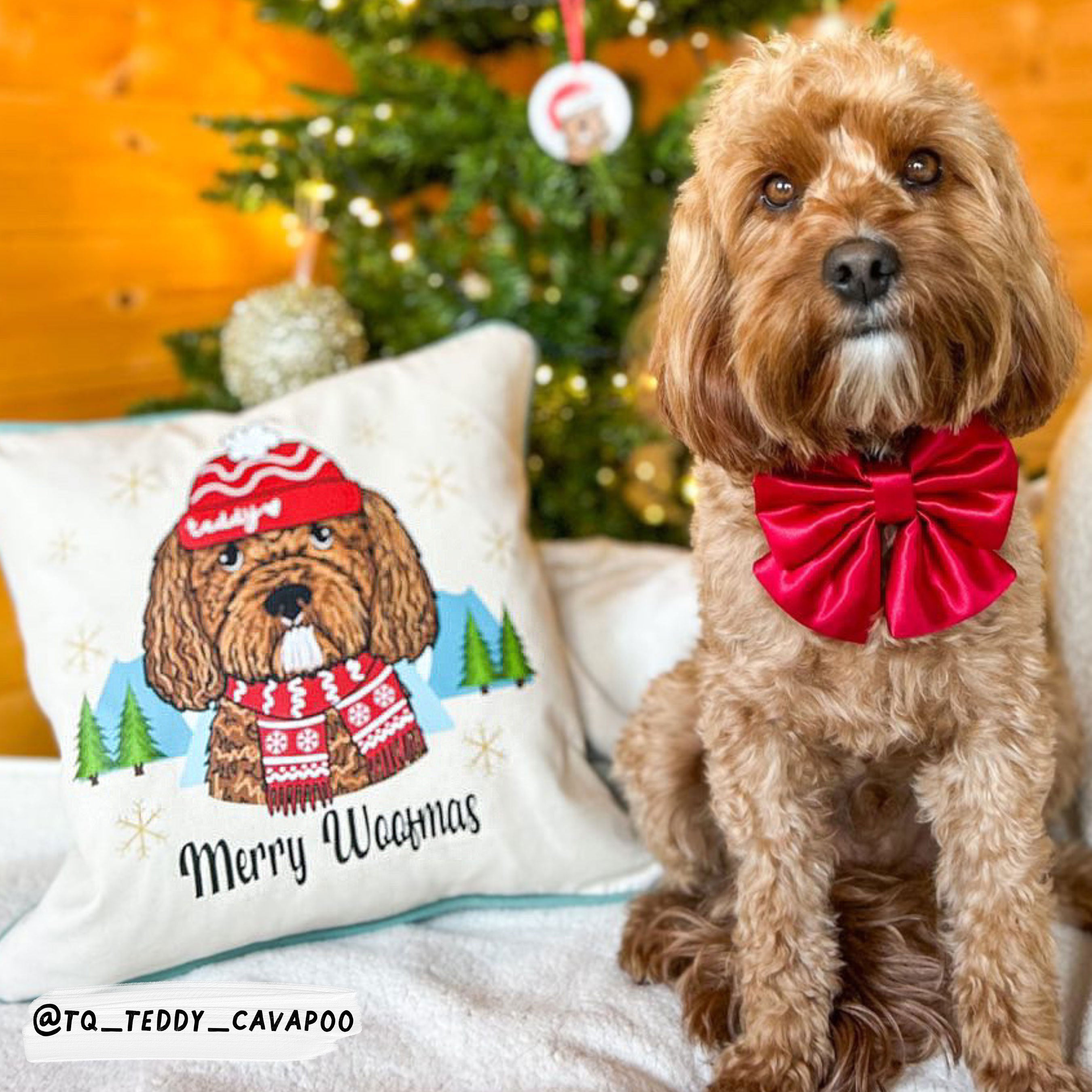 Personalised Merry Woofmas Christmas Cushion