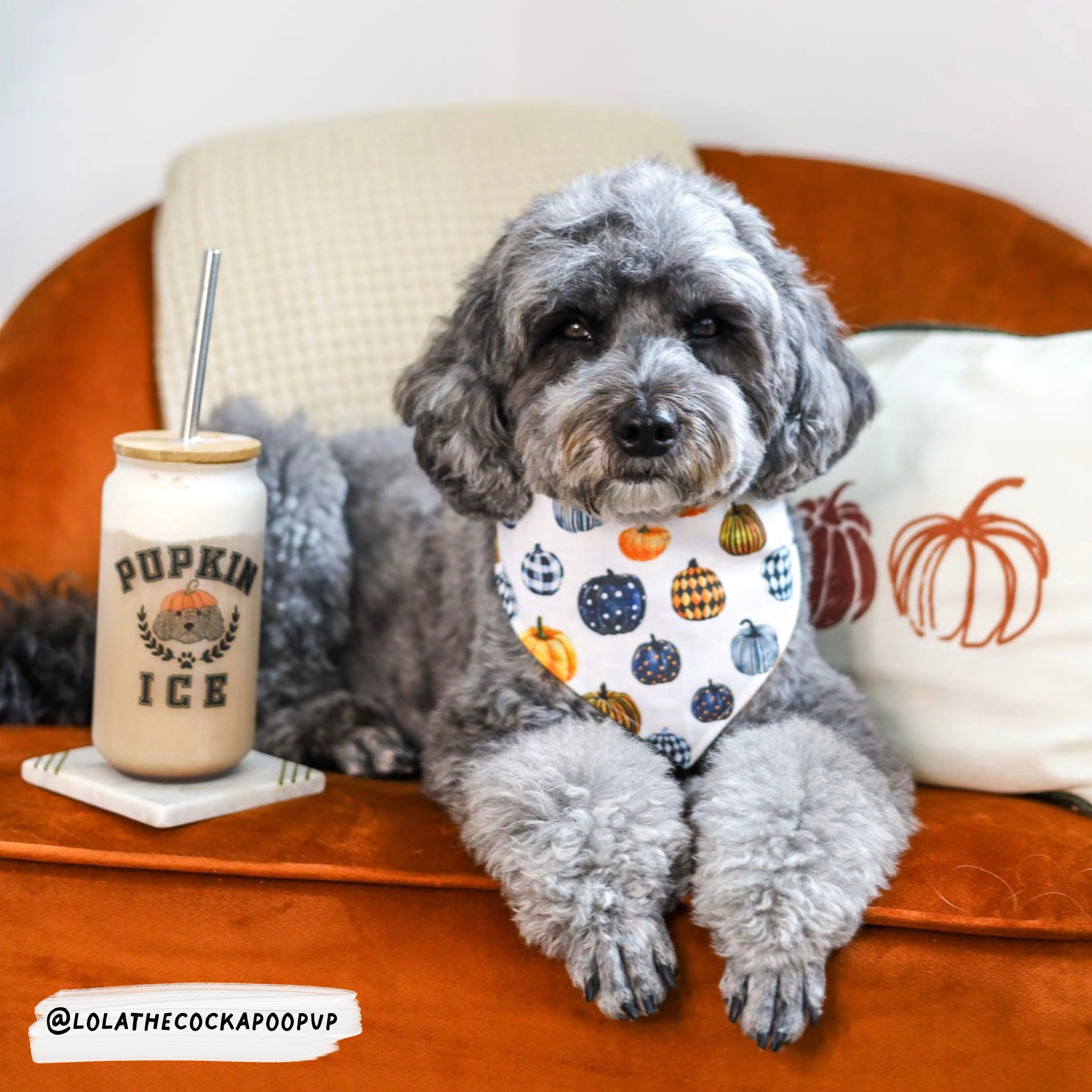 Personalised Pupkin Spice Ice Cup