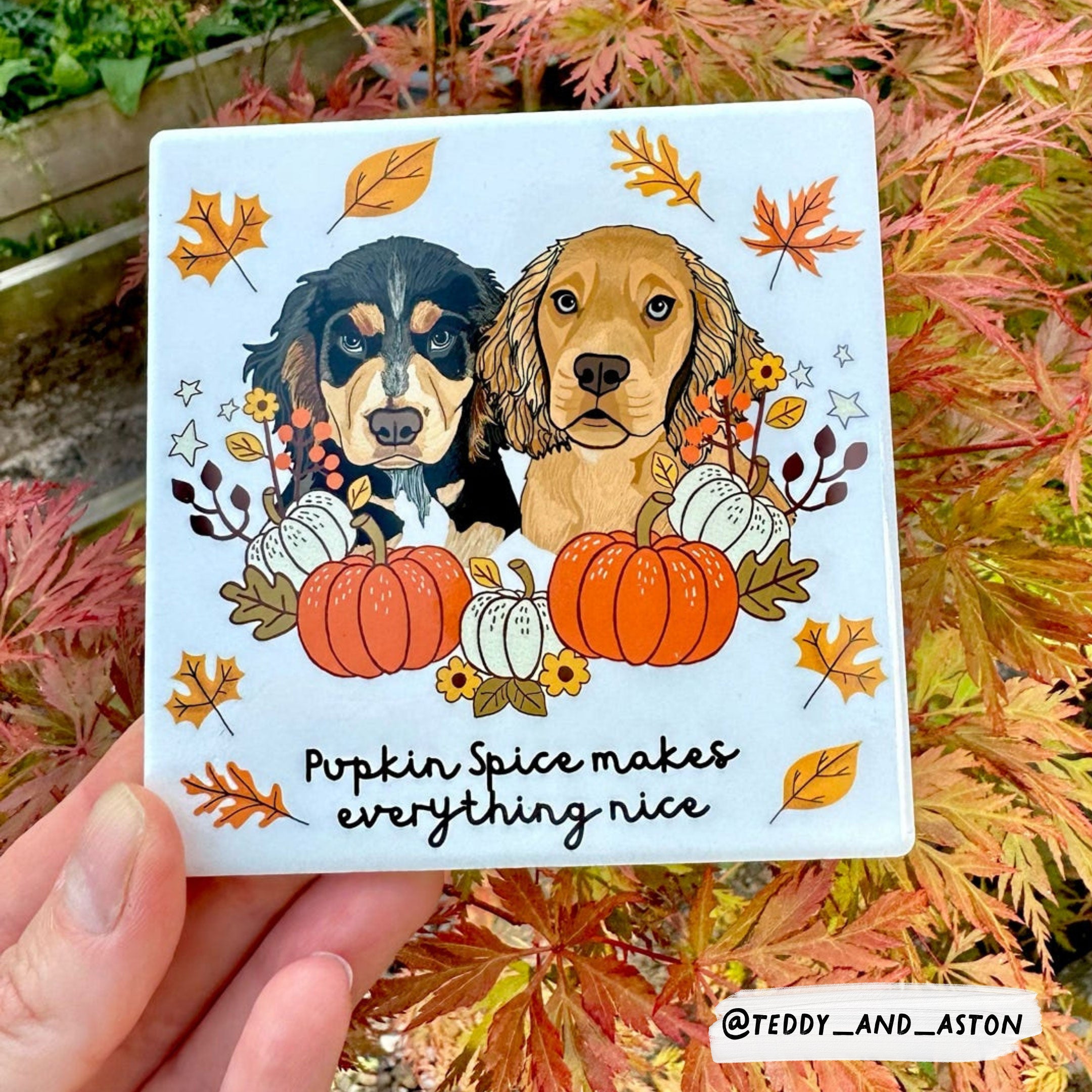 Pupkin Patch Ceramic Coaster