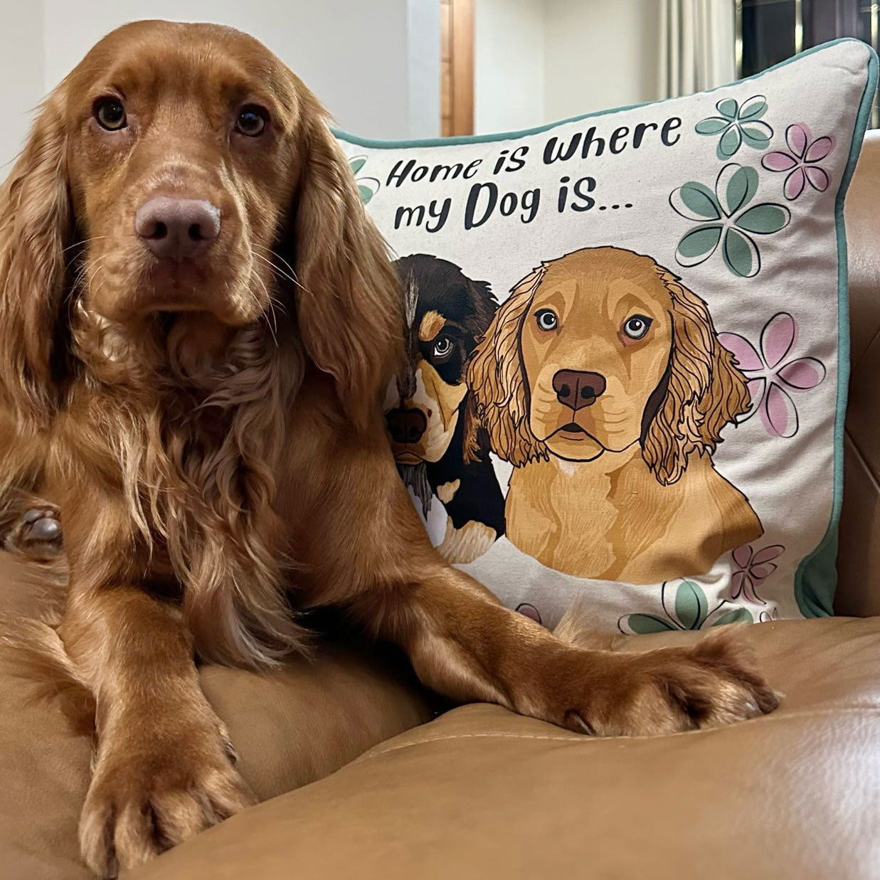 Oopsie Daisy Personalised Dog Cushion