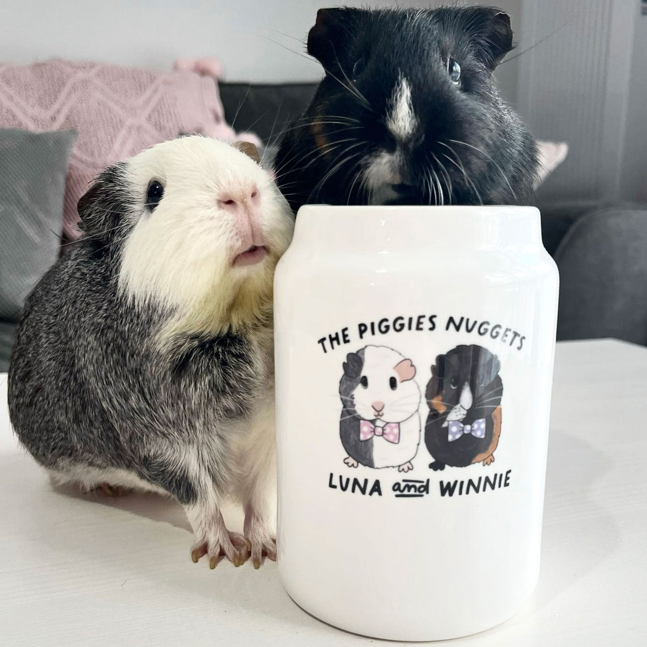 Personalised Guinea Pig Treat Jar