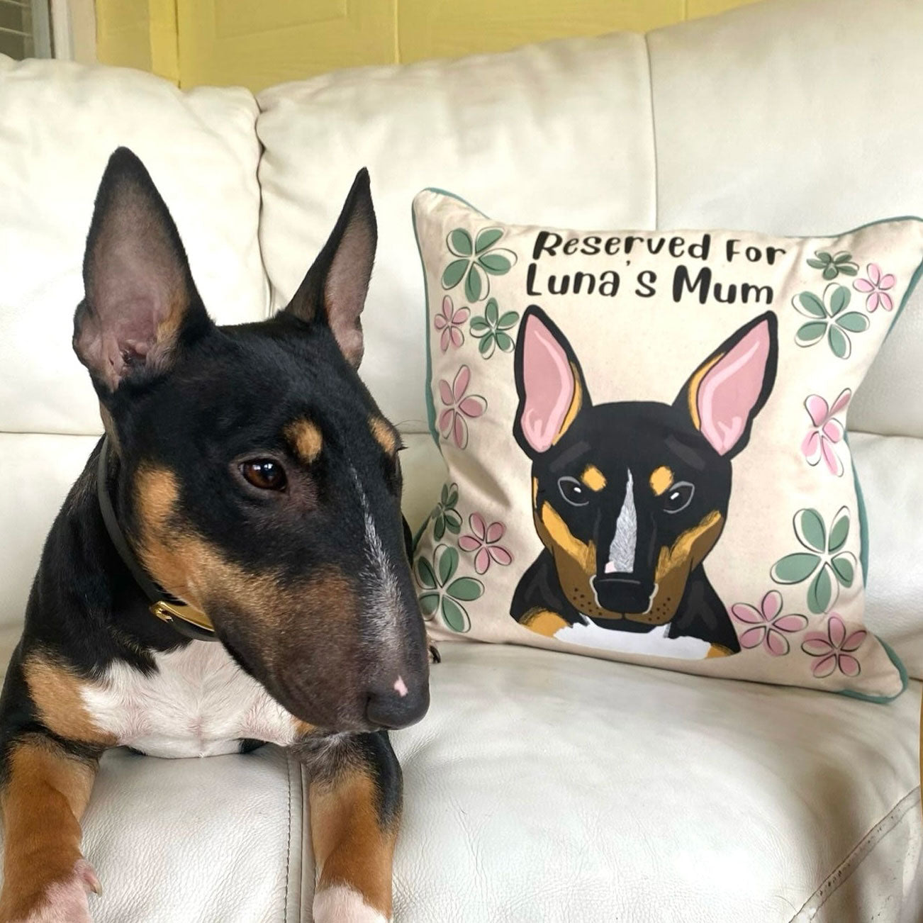 Oopsie Daisy Personalised Dog Cushion