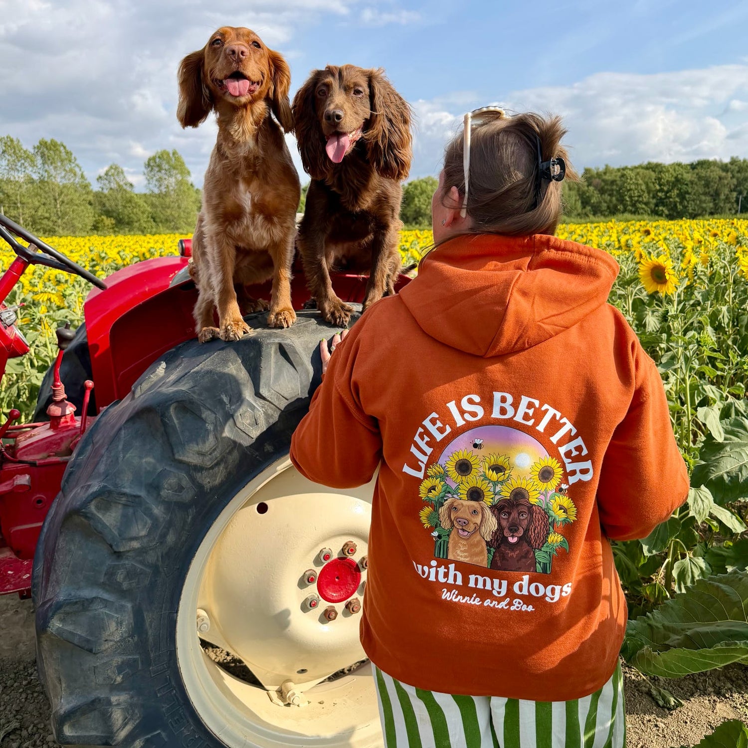 A person wearing a rust orange hoodie with a dog-themed graphic that reads "life is better with my dogs" stands in a sunflower field next to a red tractor, with two brown dogs sitting on the tractor tire.