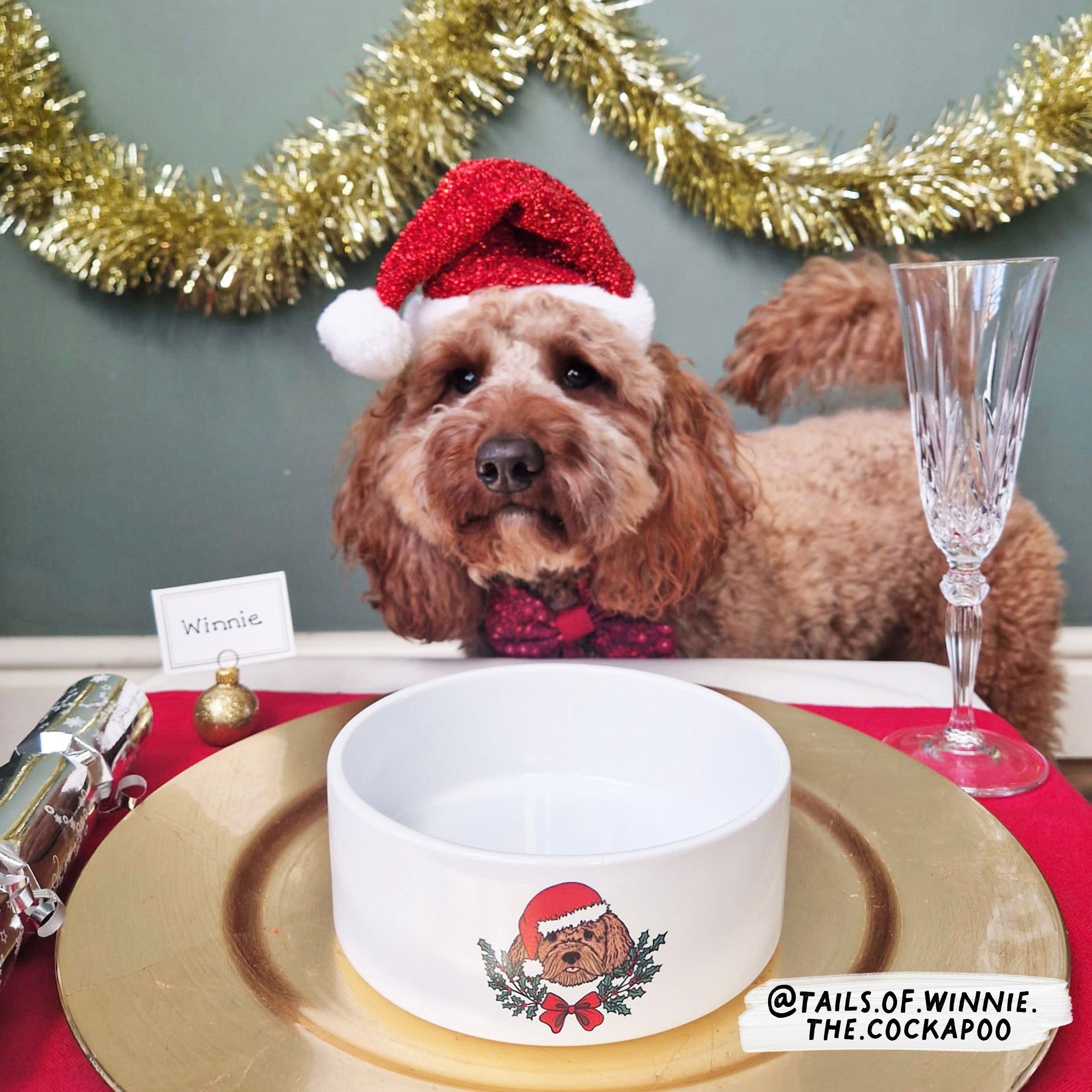 Personalised Pet Christmas Bowl