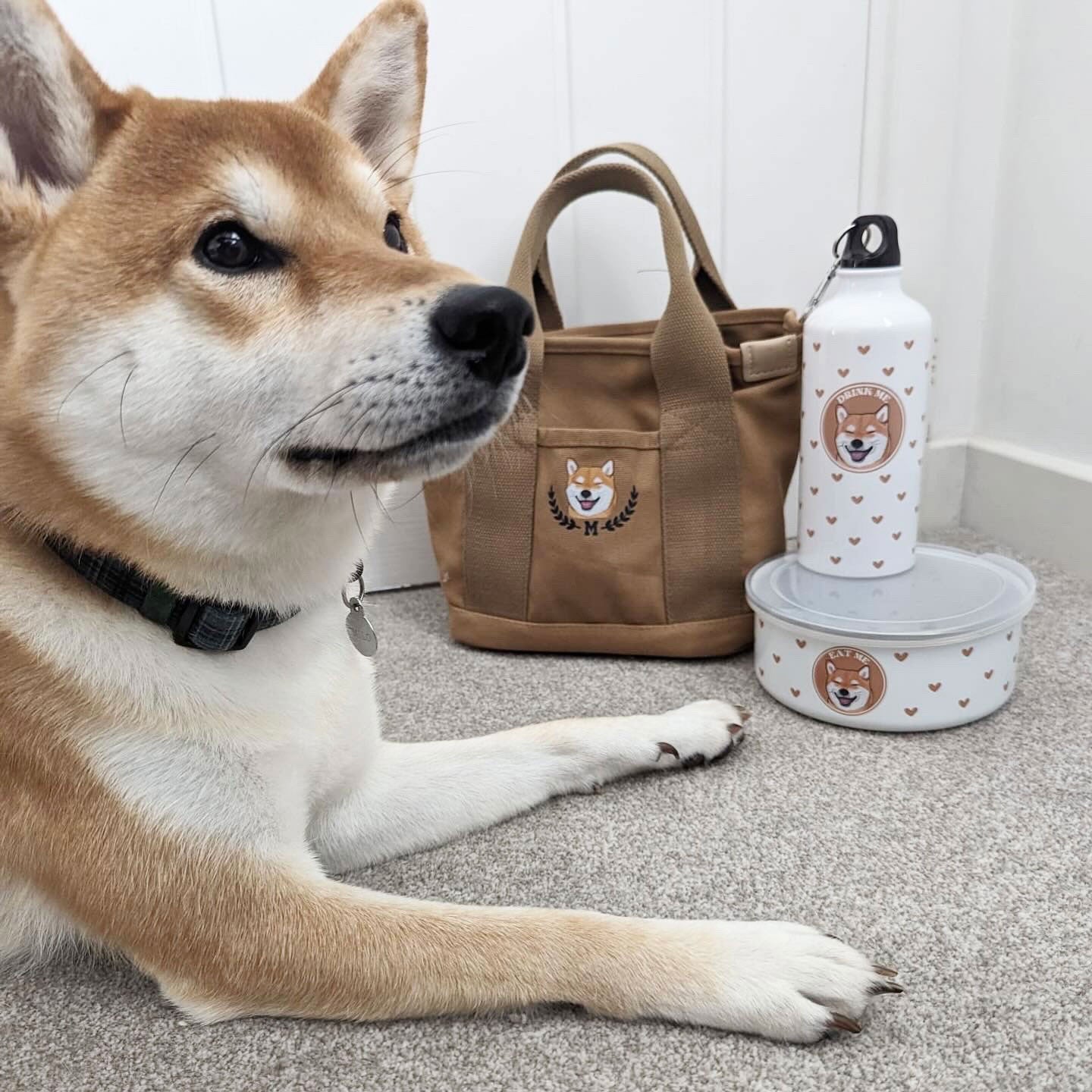 Personalised Sage Wanderland Lunch Bag