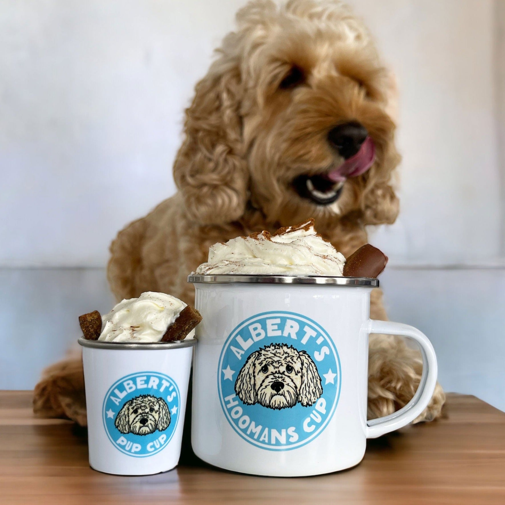 The Dog and Hooman Pup Cup Set