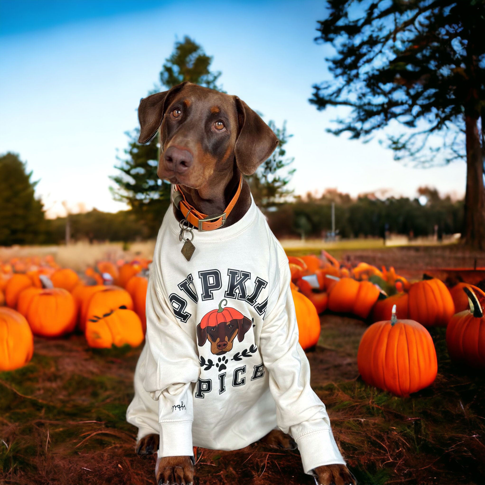 Personalised Pupkin Spice Sweatshirt