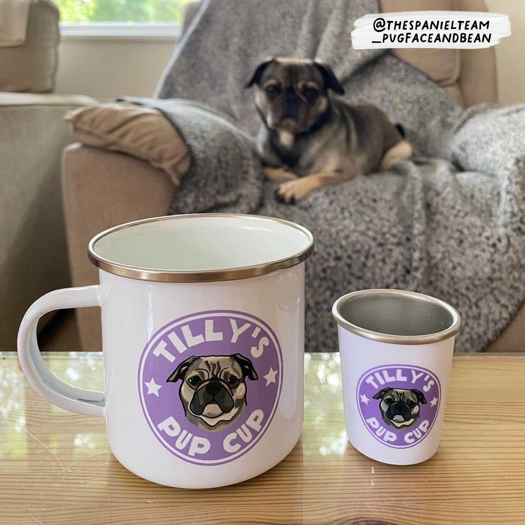 Pup Cup Set For Your Dog