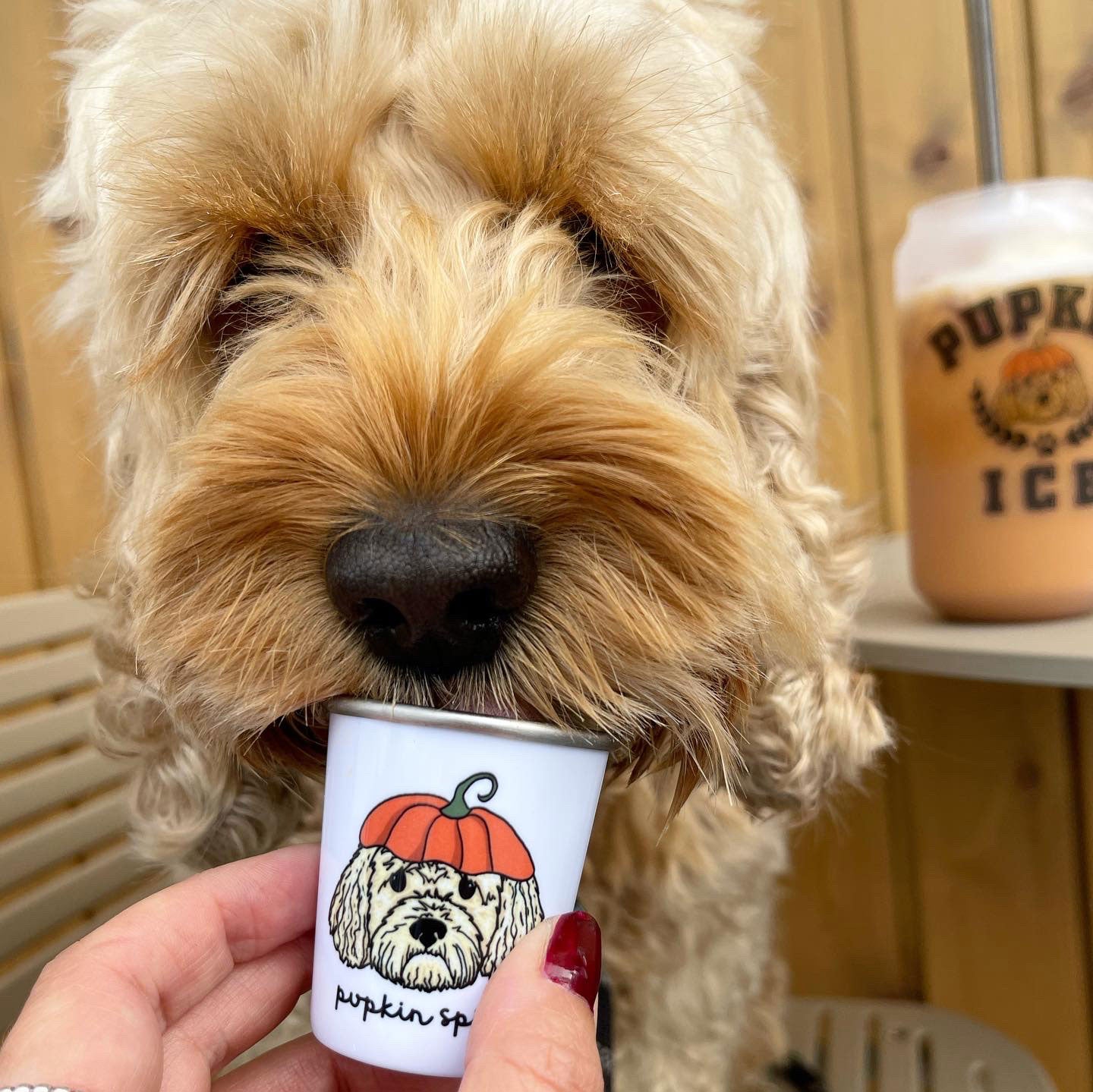 Personalised Pupkin Spice Pup Cup