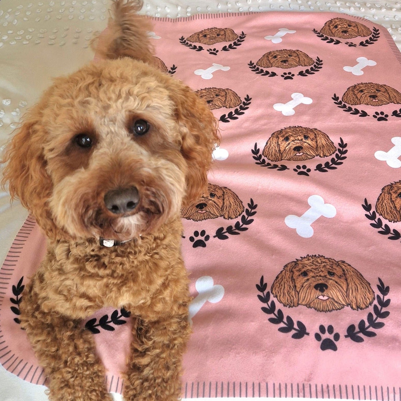 The Ulti -Mutt Repeat Pet Blanket