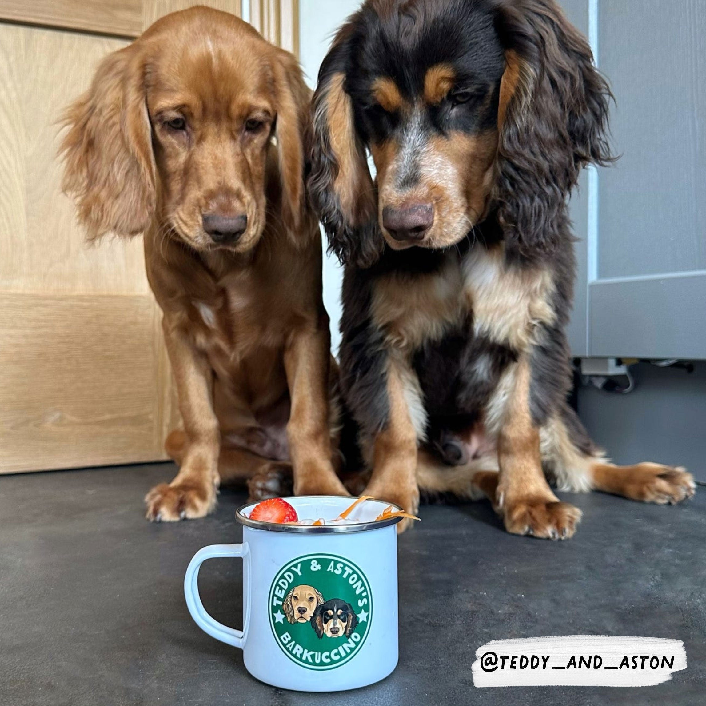 Personalised Pup Cup