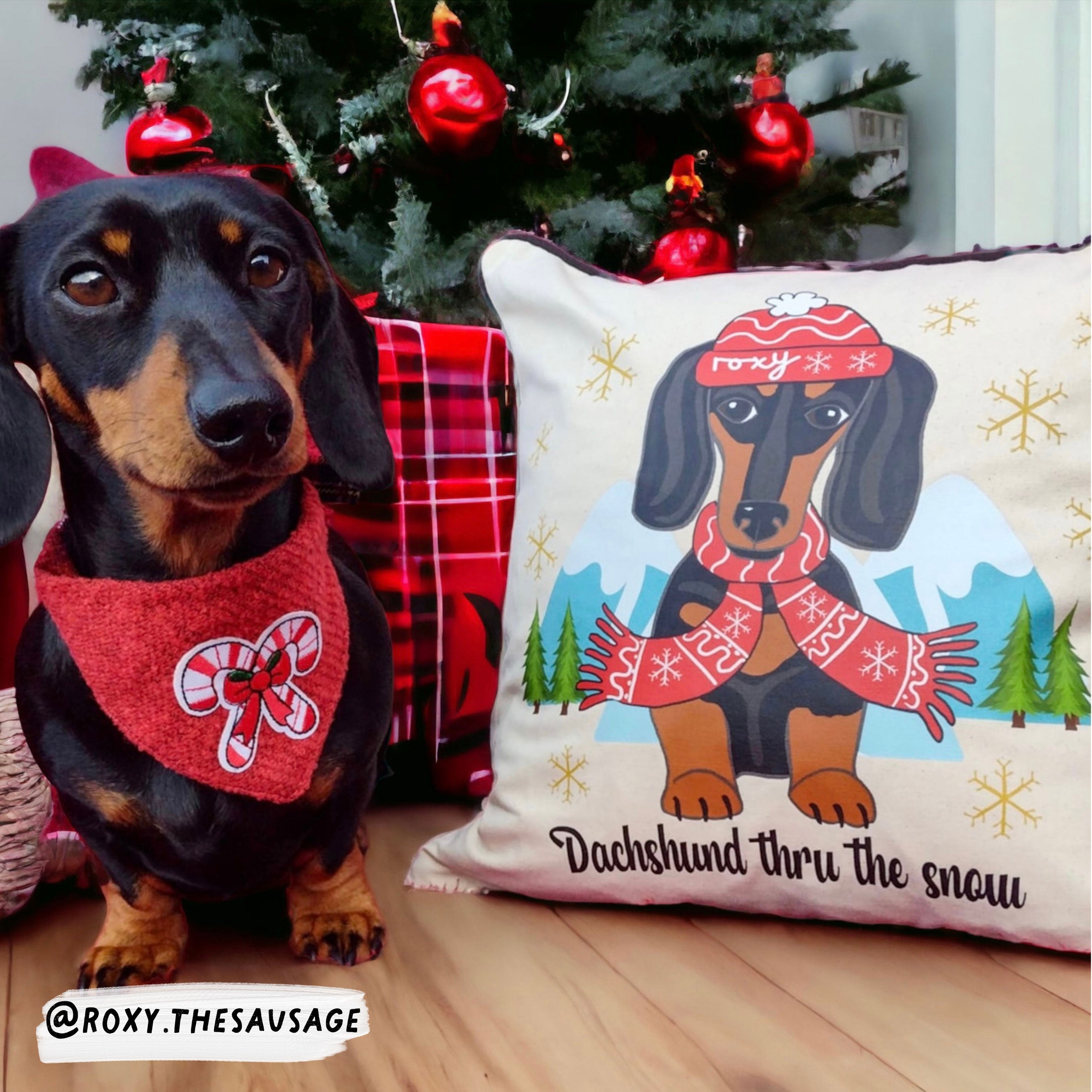 Personalised Dachshund Through the Snow Cushion