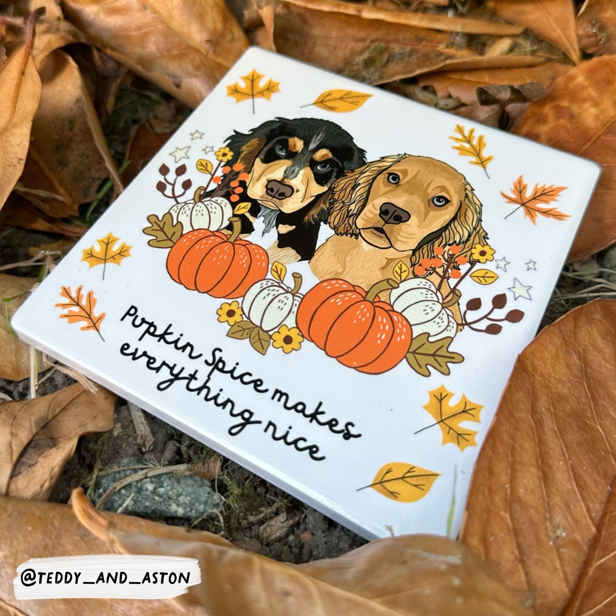 Pupkin Patch Ceramic Coaster