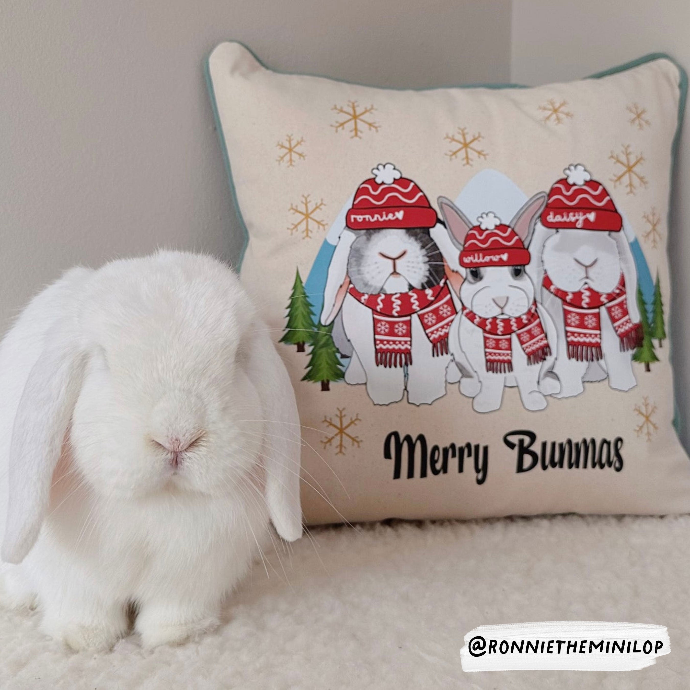 Personalised Merry Bunmas Christmas Cushion