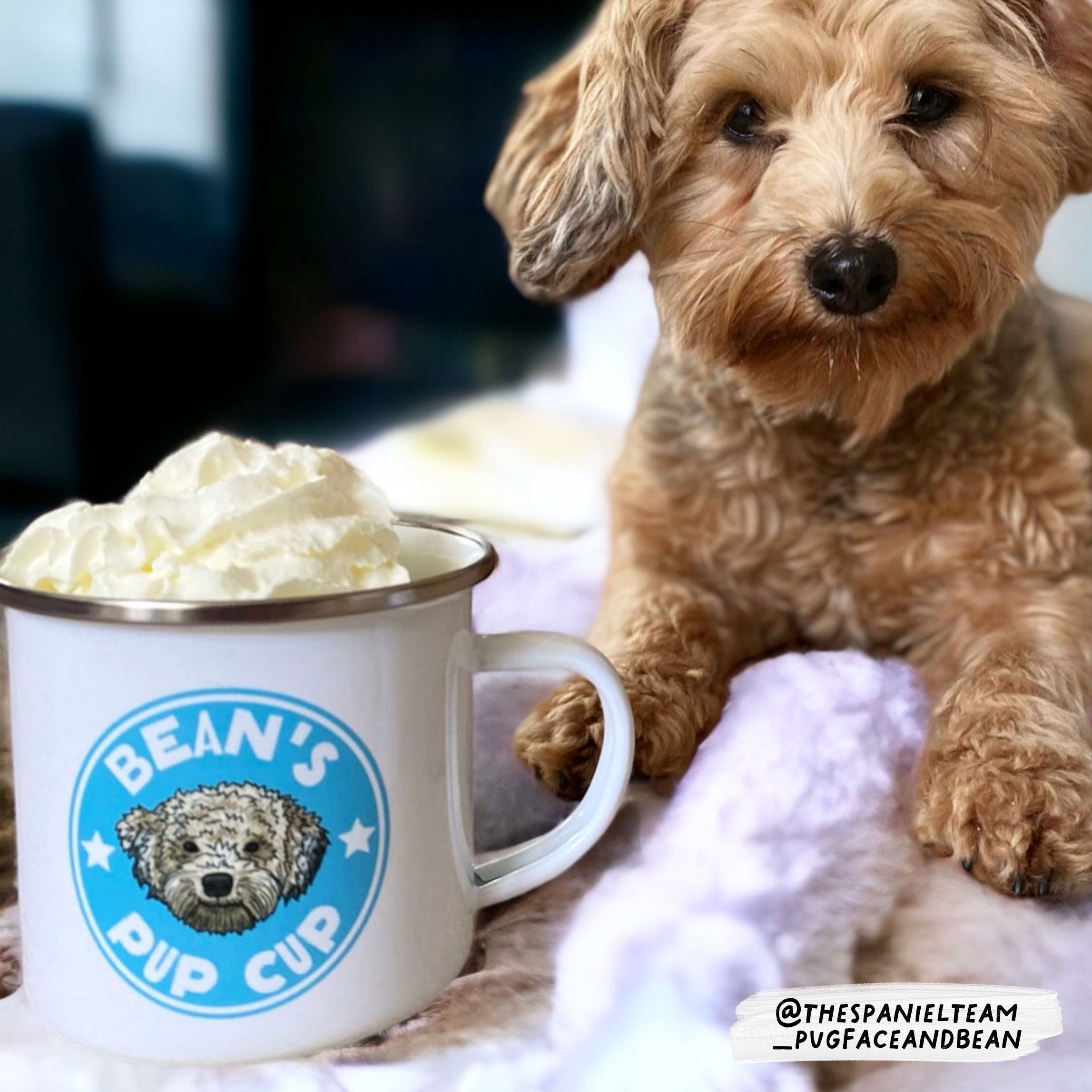 Personalised Pup Cup