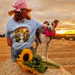 A woman wearing a light blue graphic T-shirt and a pink bandana sits on a hay bale in a harvested field, facing a greyhound dog wearing a pink bandana. Sunflowers rest in the foreground, with a golden sunset in the background.