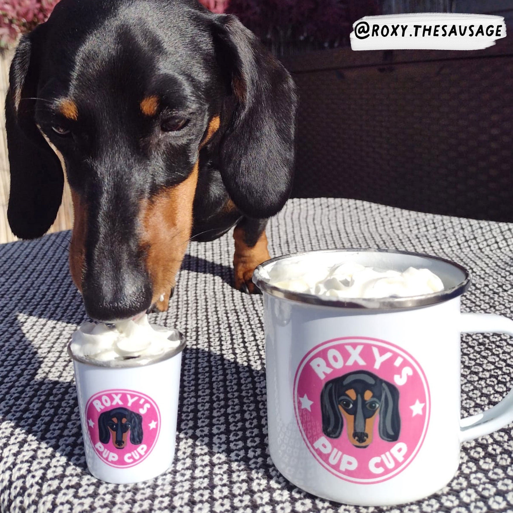 Pup Cup Set For Your Dog SydandCo