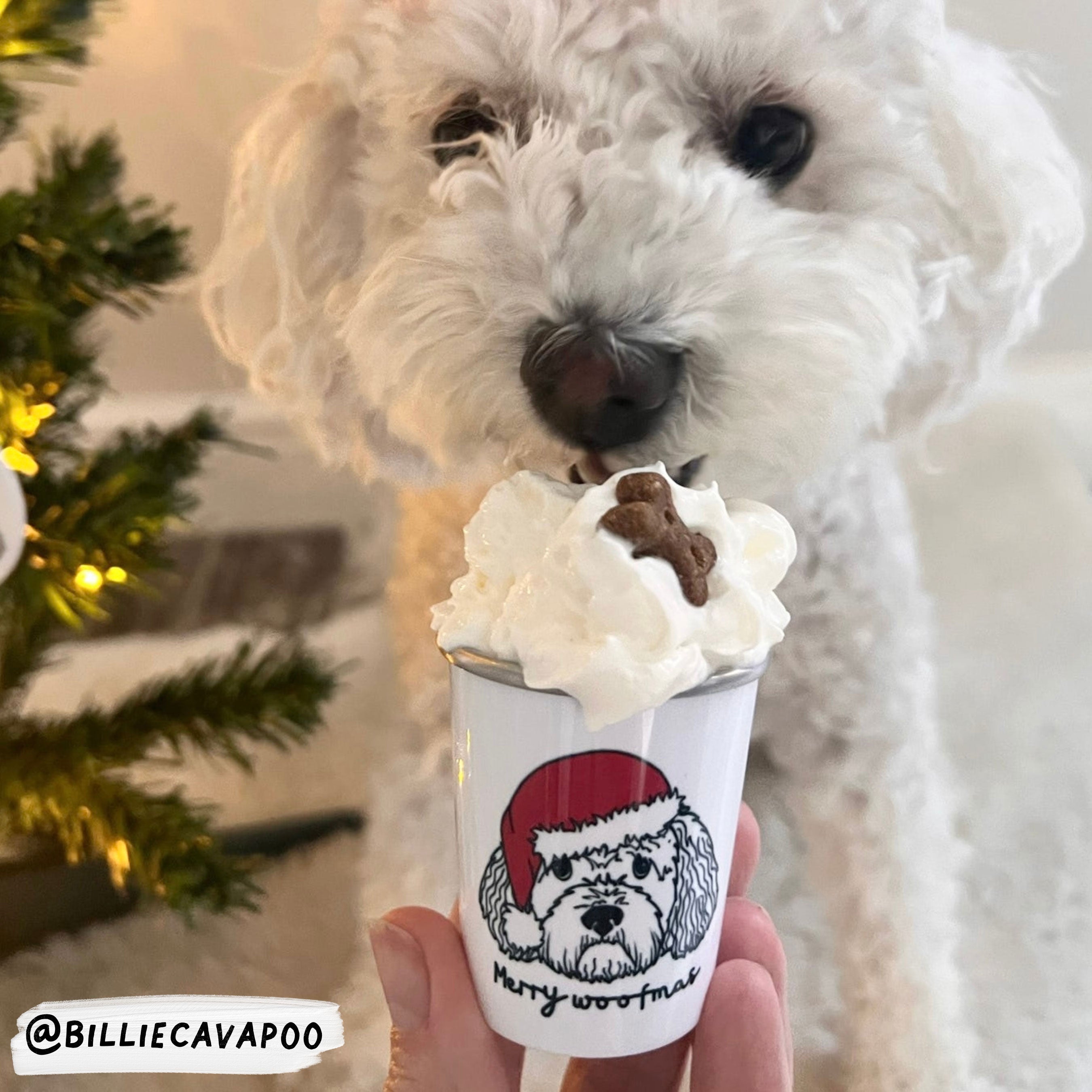 Merry Woofmas Mini Pup Cup