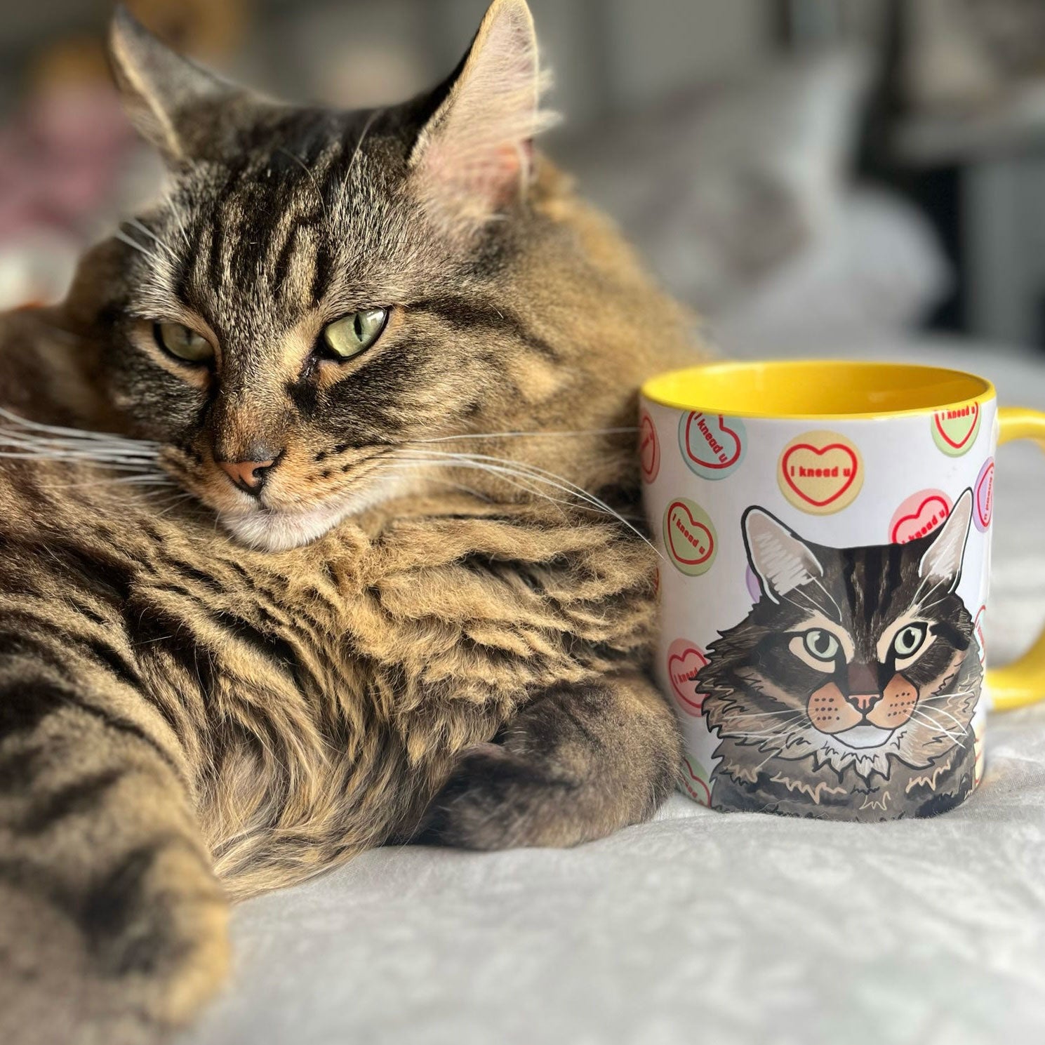 Personalised 'I Knead You' Cat Mug