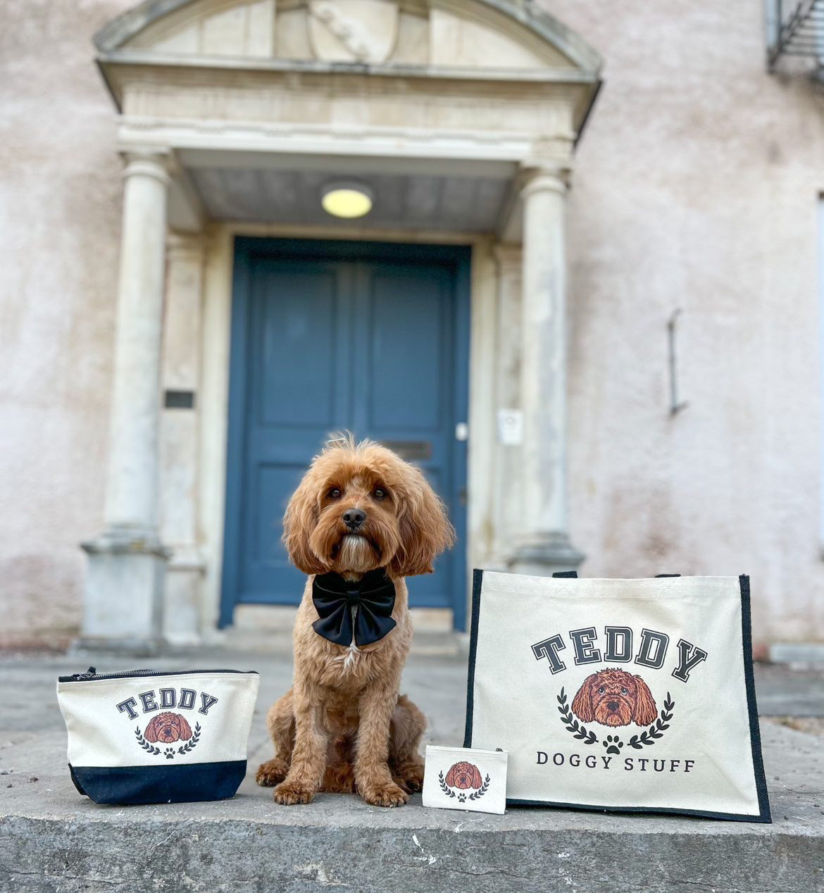 Personalised Ulti Mutt Dog Treat Pouch Bag