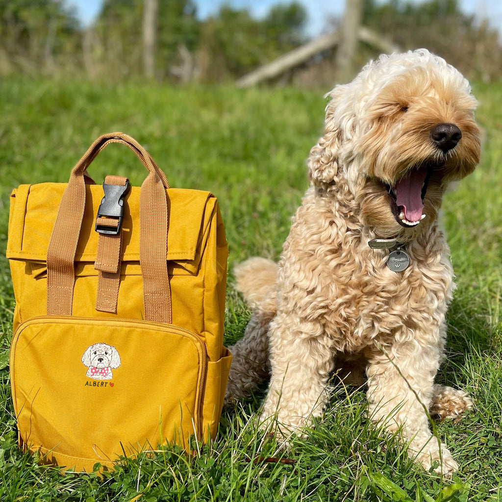 A dog backpack top