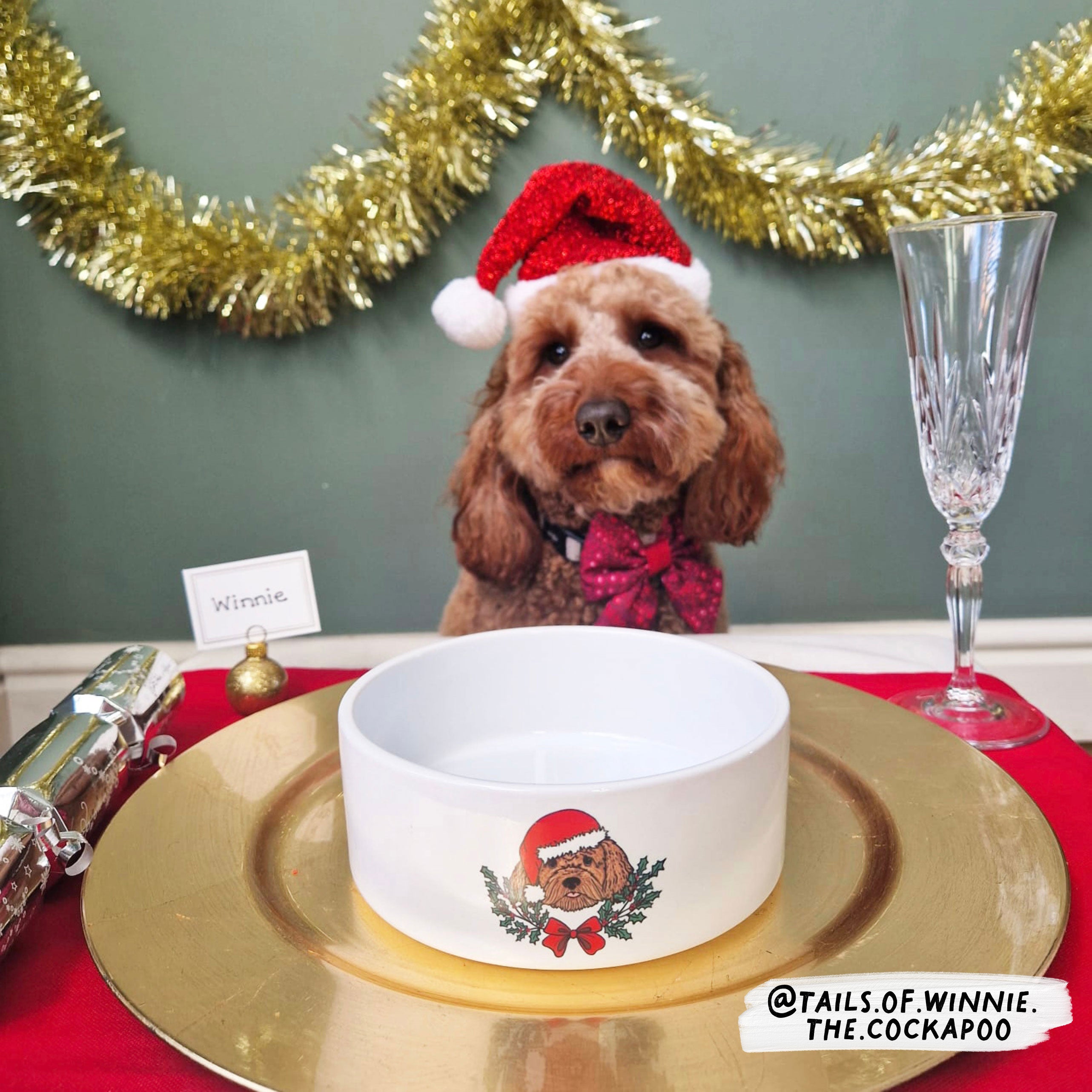 Personalised Pet Christmas Bowl