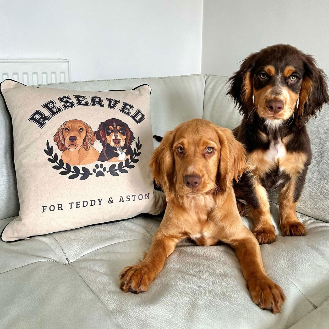 The Ulti-Mutt Personalised Dog Cushion