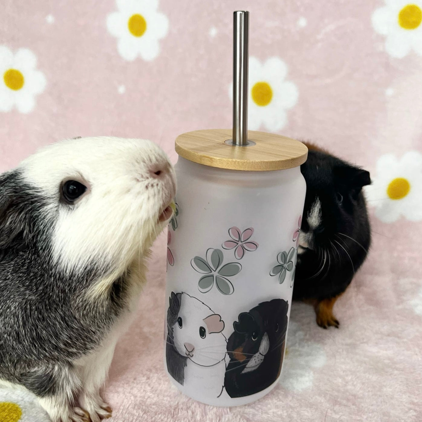 Oopsie Daisy Guinea Pig Ice cup